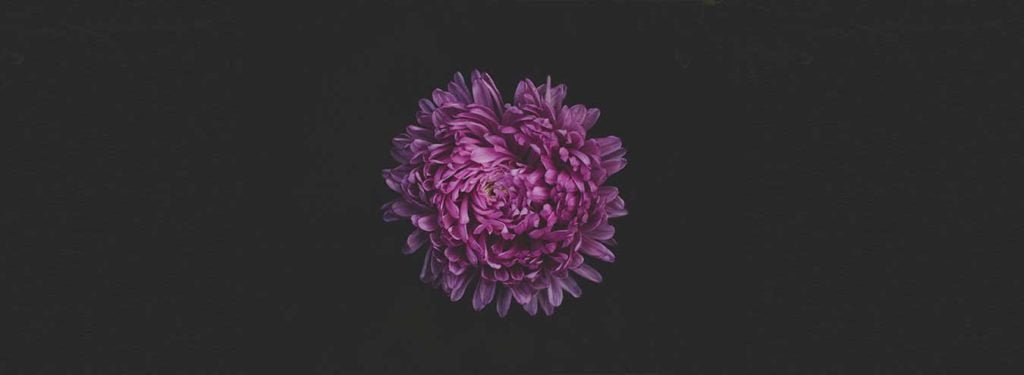 Mindfulness o que é?
