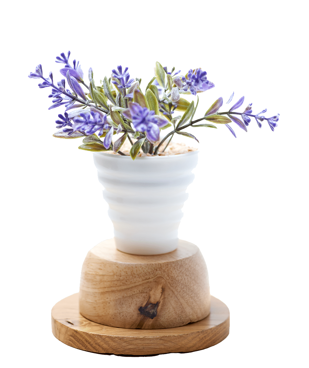 lavanda-flower2 Vaso de flores de lavanda