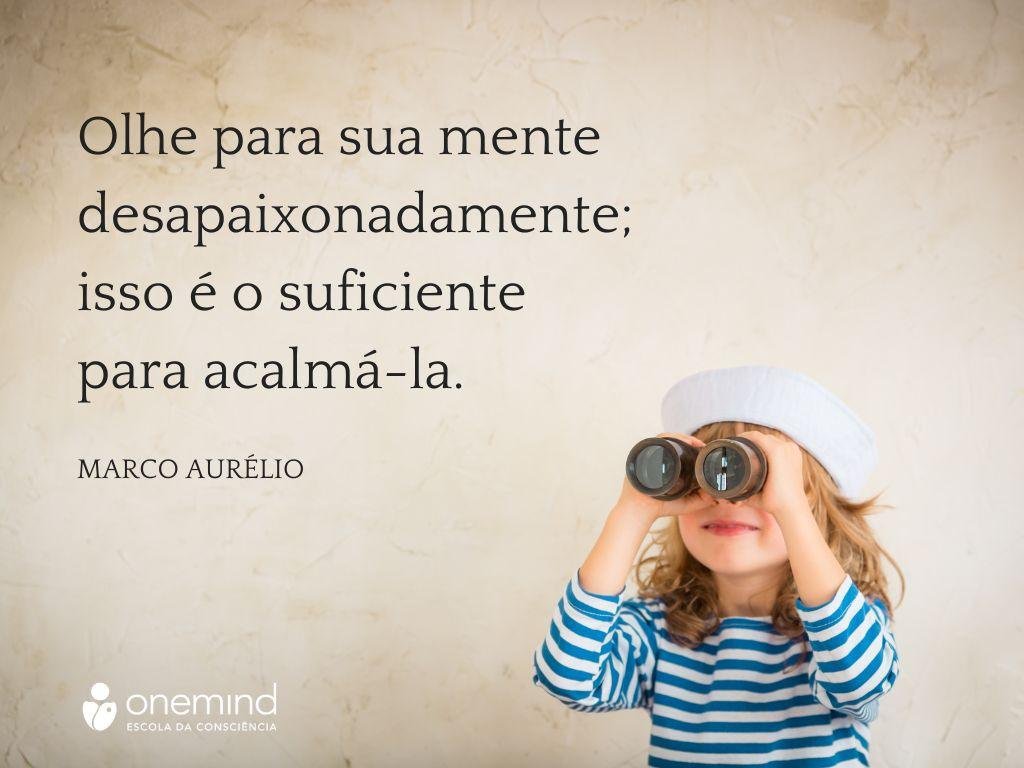 Olhe para sua mente desapaixonadamente; isso é o suficiente para acalmá-la.​