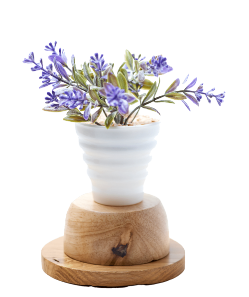 Vaso de flores de lavanda